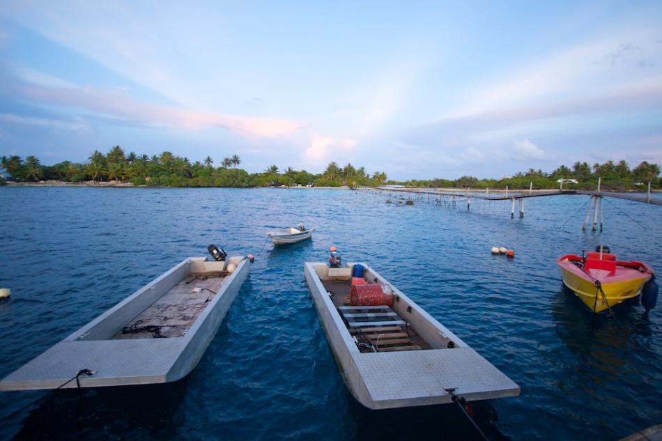 Boats on the Kamoka pearl farm