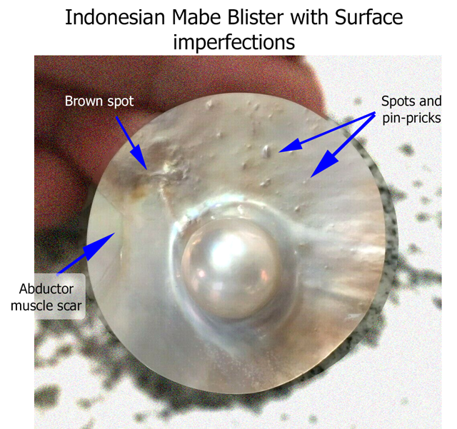 Blister-SSP-Mabe-with-Surface-imperfections.png - Blister Mabe pearl with many surface imperfections