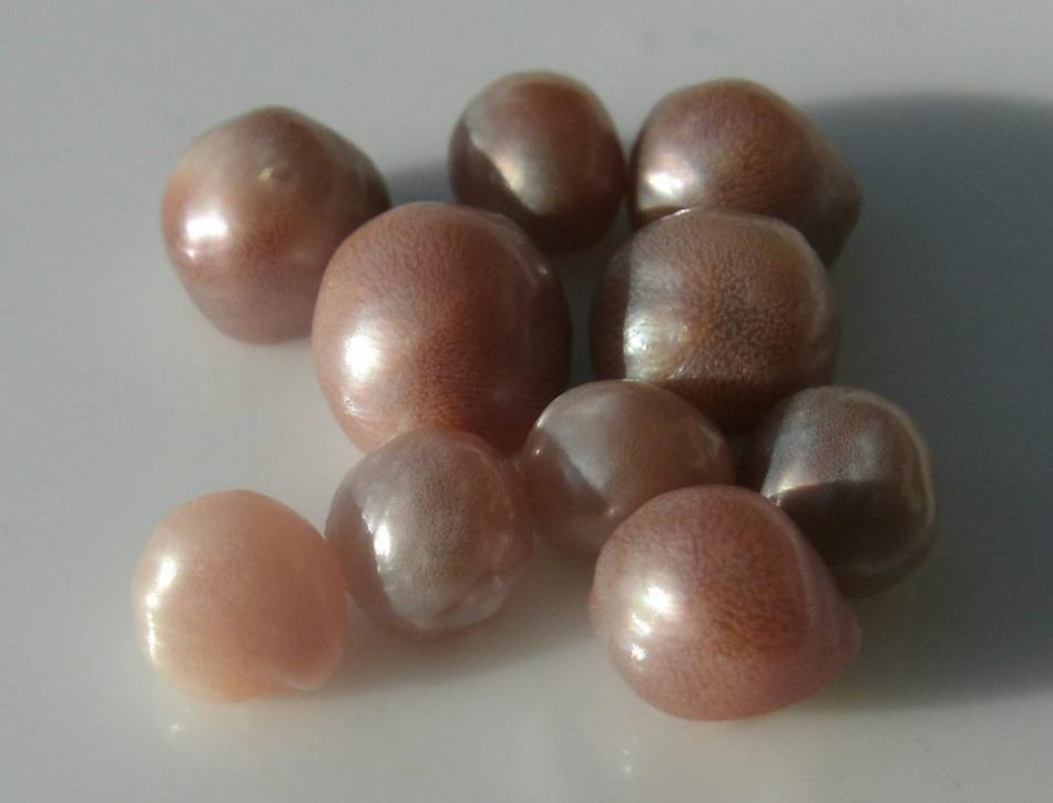 Lagoon Island Pearls: Natural pearls loose