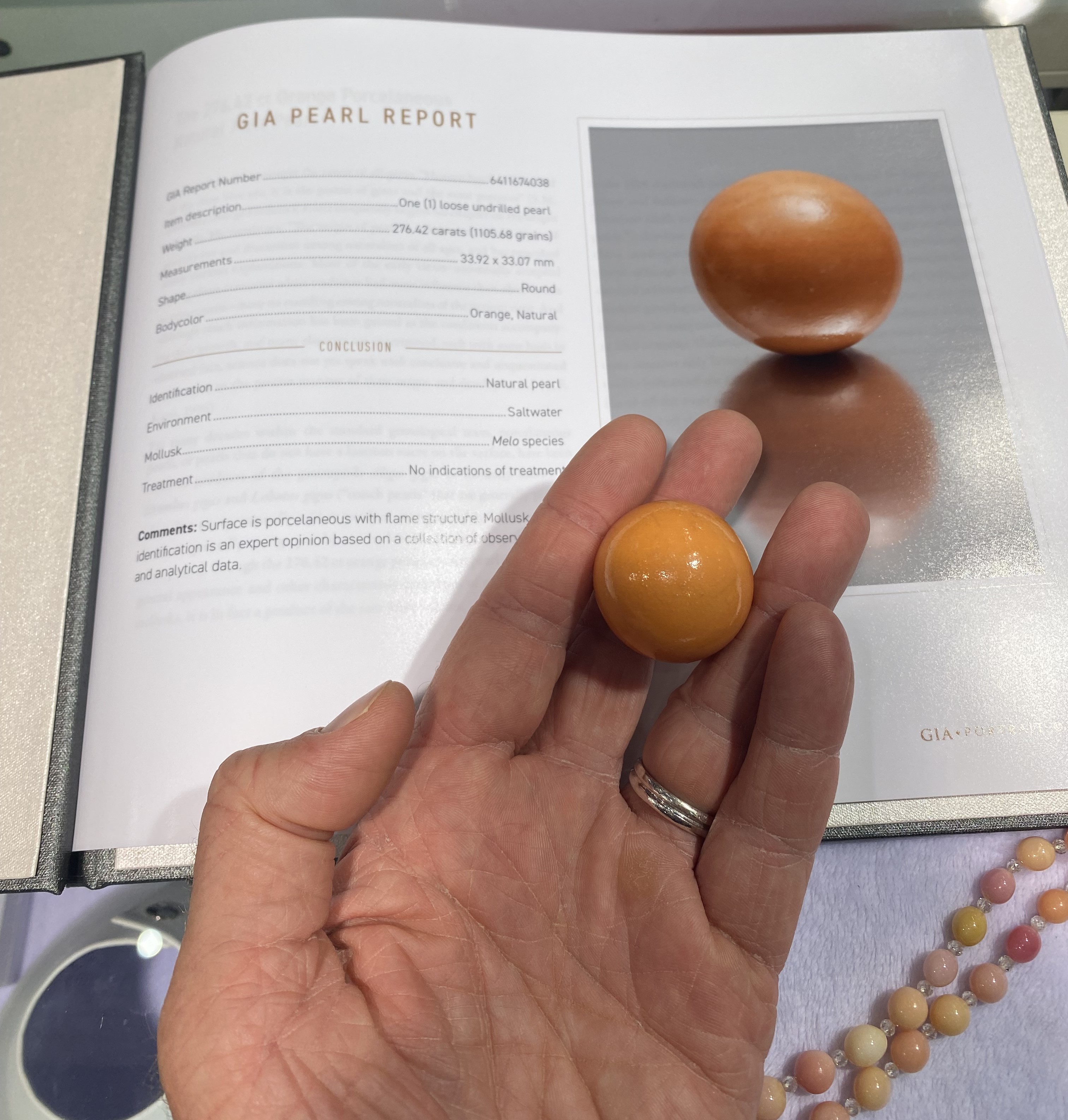 An Exceptional Melo Melo Pearl | Pearl Education - Pearl-Guide.com