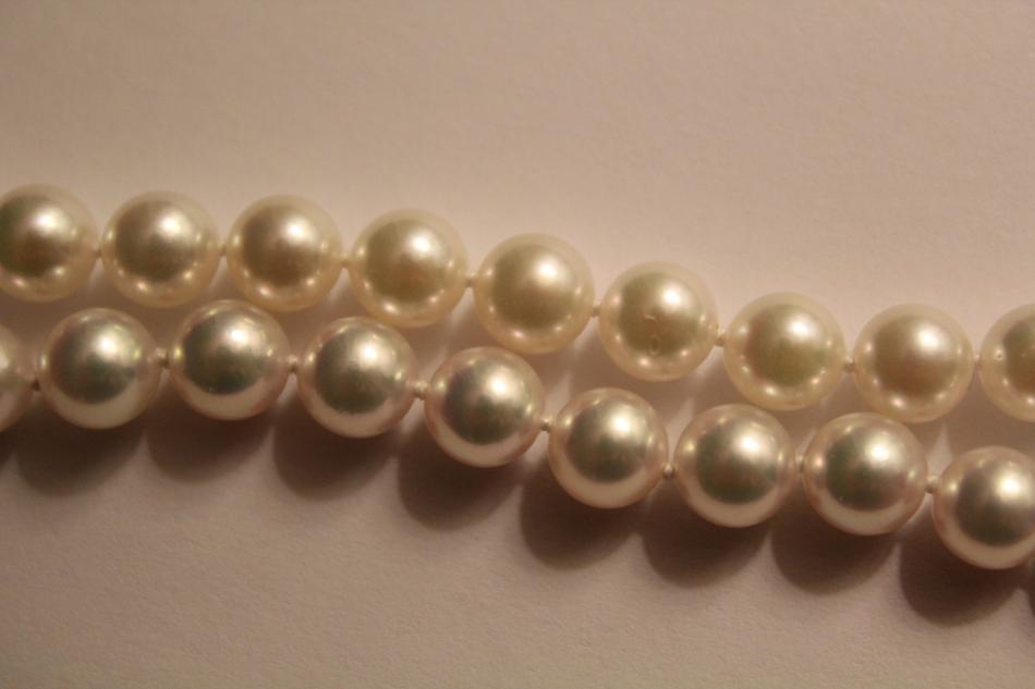 Learn about Akoya Pearls from the Experts at Pearl Paradise