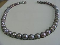 Collares Perlas Cosecha 2006 012.jpg