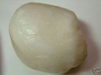 tridacna pearl.JPG