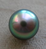 FishEye Pearl [%P].jpg