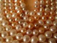 two dollar pearls close1.jpg