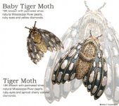 tigermothweb2.jpg