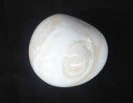 Tridacna Pearl 4 600x400.jpg