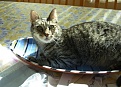 Oscar in the bread dish