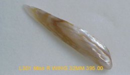 L301 MISS R TIGER WING.jpg