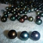 perles-de-tahiti_medium.jpg