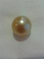 Our AAA Grade of Golden South Sea Pearls