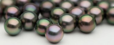 Dark-Peacock-Tahitian-Pearls1.jpg