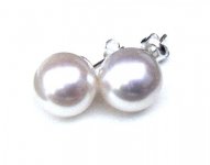 e white aaa essence round 10.3 studs on silver3481 .jpg