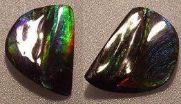 Ammolite AAImperialEdge.jpg