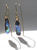 paua drop earring 9ct gold