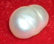 DrTom's pearls 016.jpg