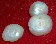 DrTom's pearls 023.jpg