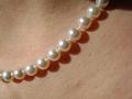 Freshadama strand, 7-8 mm, taken to help match with pearl earrings.