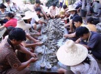 Harvesting Akoya Pearls in Sitang Village .jpg