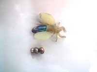 bee-brooch-wax-300x225.jpg