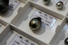 faceted-tahitian-pearl.jpg