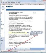 paypal_3.jpg