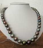 Collar 2008 013 [320x200].JPG