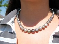 Collar 2008 027 [320x200].JPG