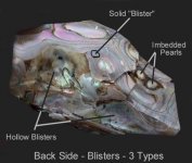 Blisters-3 types-3 back.JPG