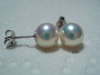 Freshadama metallic white studs under daylight lamp.jpg