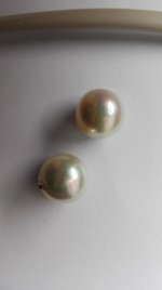 greenish south sea pearl earrings from pearlescence