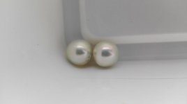 greenish south sea pearl earrings from pearlescence