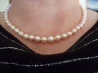 creamy akoya necklace.jpg