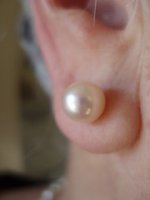 Mom's akoya studs.jpg