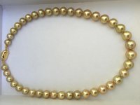 golden South Sea strand - Eiko Pearl Company