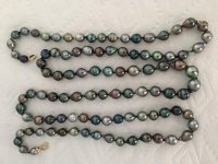 50 multicolor Tahitian rope Pearl Paradise