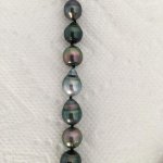 Contrasting Tahitian pearl colors