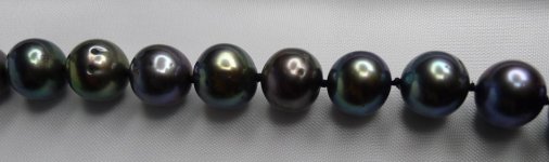 Black pearls P1020870.jpg