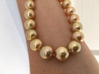 Golden South Sea pearls