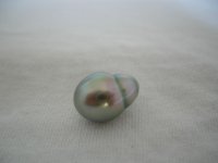 Pearl - Tahitian baroque - 10.9 x 14.5 - $40 - 3.jpg