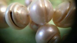 natural pearls 8.jpg