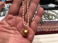 deep gold south sea pearl