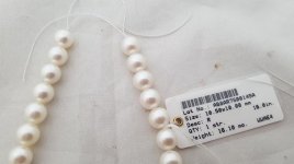 akoya strand from Cees @ Amsterdam Pearls