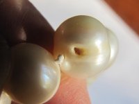 pearl necklace large 585 hole.jpg