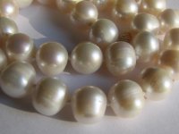 pearl necklace large 585 close.jpg