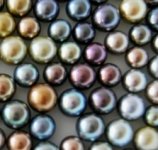 Fijian Pearls 2.JPG