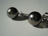 tahitian pearl studs.jpg