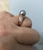 Sea of Cortez Ring