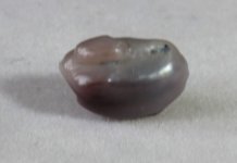 Natural Mussel Pearl -2.5 ct- Choromytilus californiensis (4).JPG