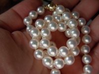 my natural white hanadama pearls from pearl paradise in hand